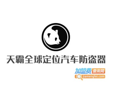 天霸全球定位汽车防盗器加盟费