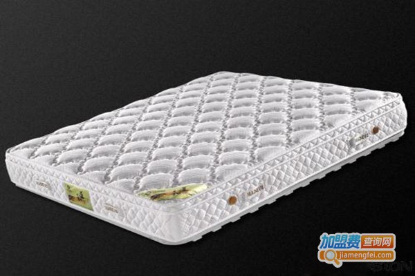 梦极空调床垫加盟门店