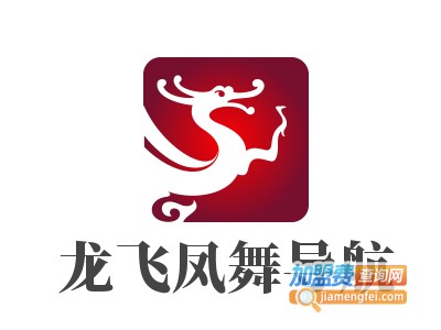 龙飞凤舞导航加盟费
