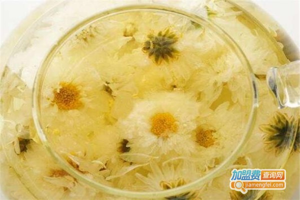 通惠堂虫草菊花茶加盟费