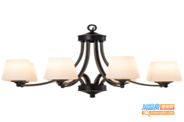 华莱特照明加盟费