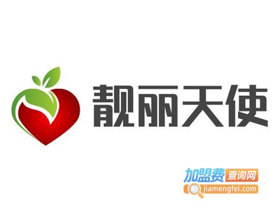 靓丽天使电动车防雨遮阳篷加盟费