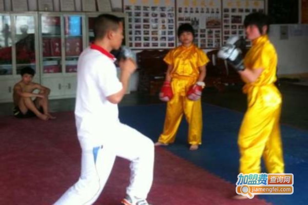 振东武术馆加盟费