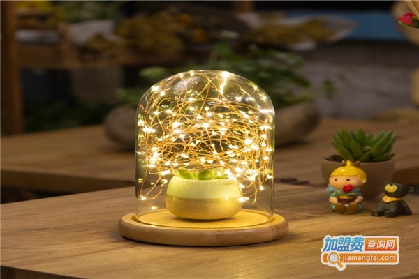 中宙照明灯具加盟费