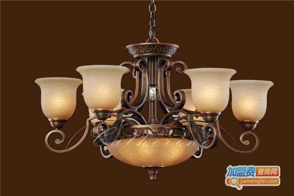 小二郎健康灯加盟费