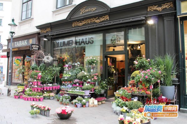 神奇花艺坊加盟费