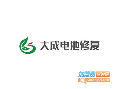 大成电池修复