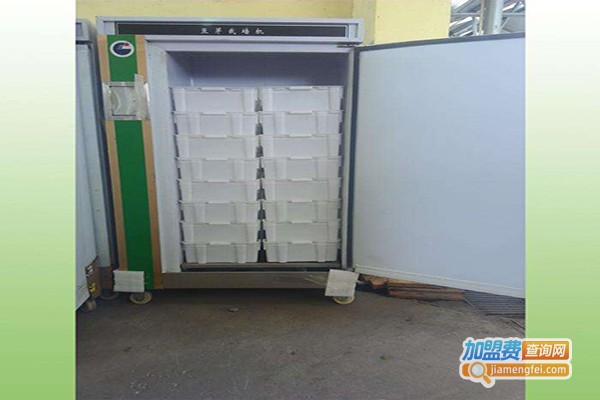 康丽豆芽机加盟费