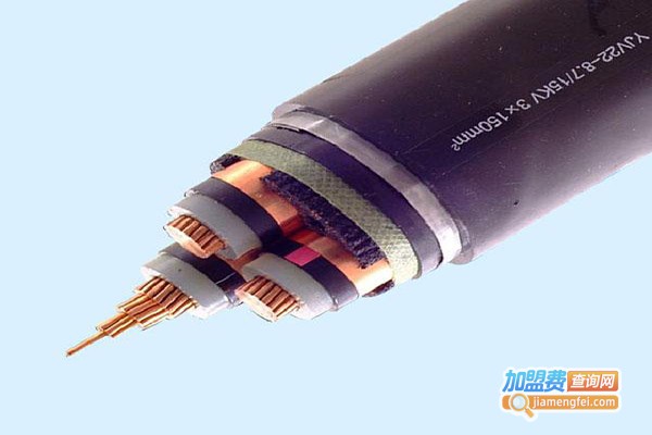 安莱特线缆加盟门店