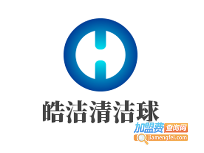 皓洁清洁球加盟