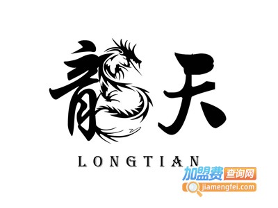 龙天汽车美容装饰