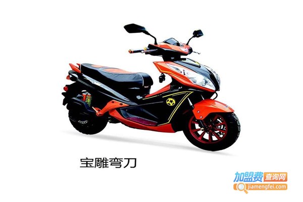宝雕电动车加盟