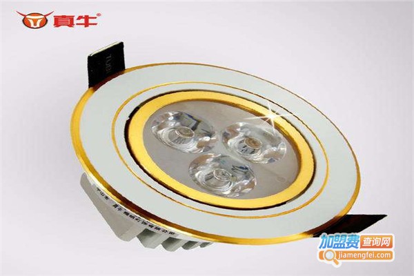 真牛照明加盟费