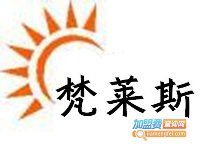 梵莱斯灯饰加盟费