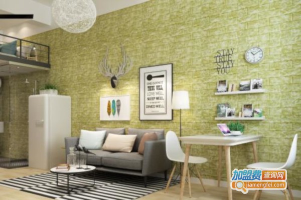 家标3D背景砖加盟费