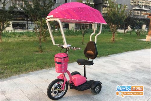 马路飞鸽电动车挡雨遮阳篷加盟费