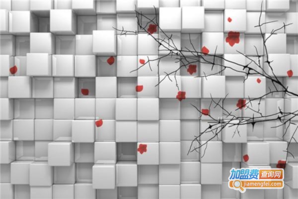 家标3D背景砖加盟费