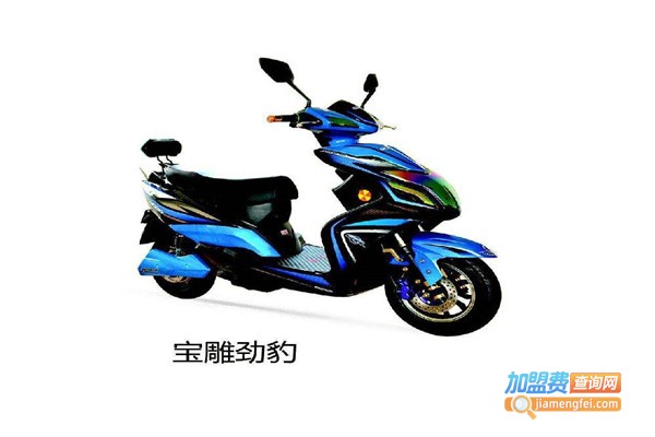 宝雕电动车加盟