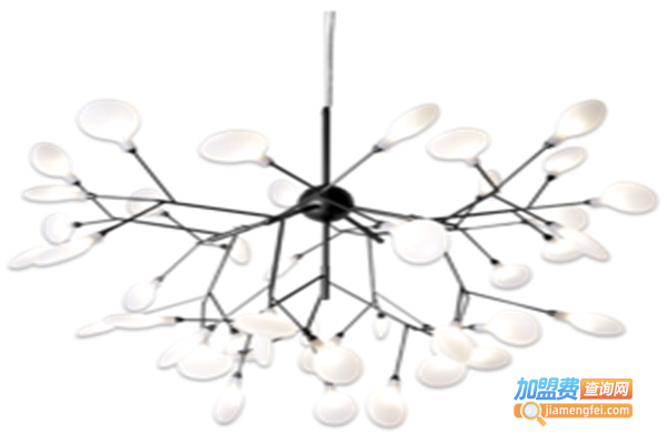 华莱特照明加盟费