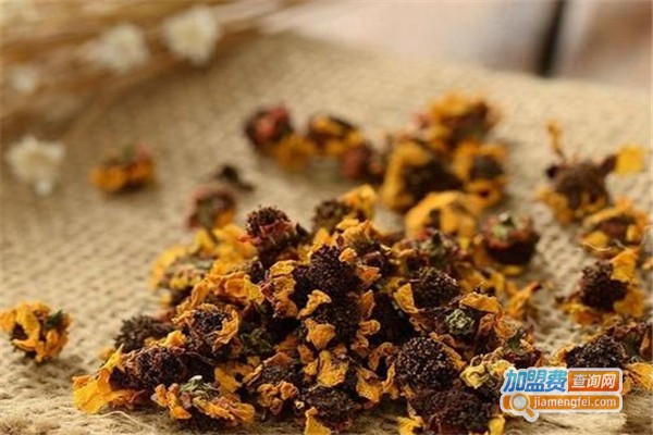 通惠堂虫草菊花茶加盟费