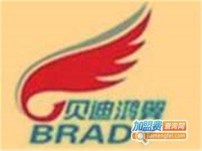 贝迪鸿翼智能遥控车衣加盟费