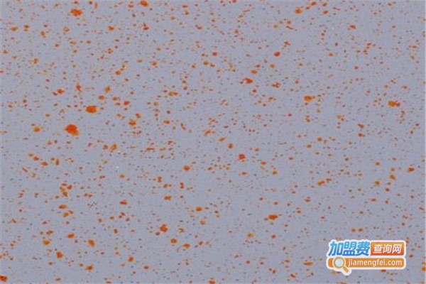 奥特美克彩粒漆加盟费