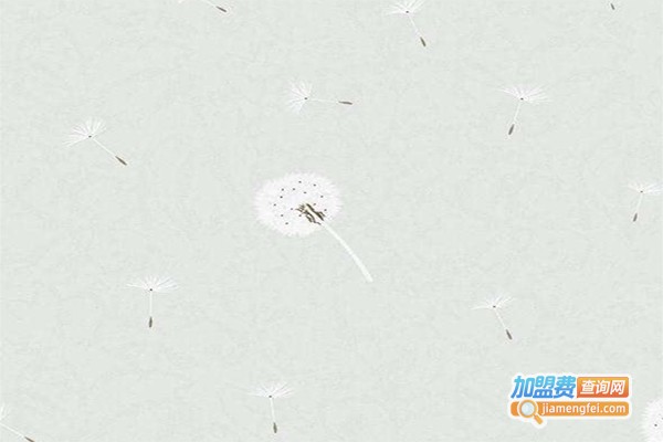 新纪元装饰材料加盟