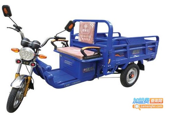 菲娅达电动车加盟费