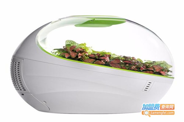 馨立方空气净化加盟费