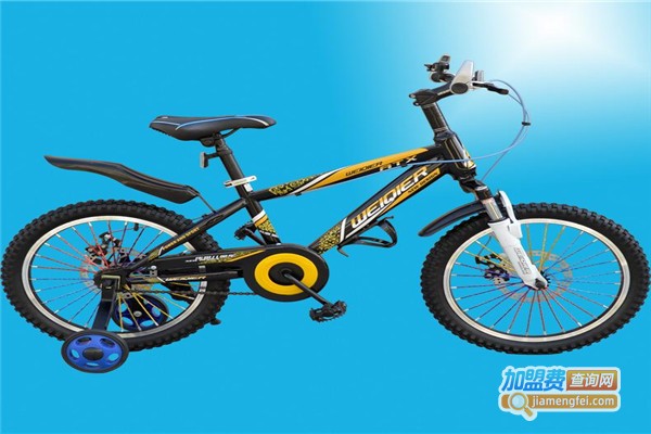 伟琪童车加盟费