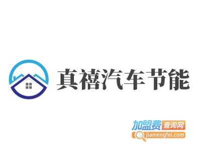 真禧汽车节能加盟费
