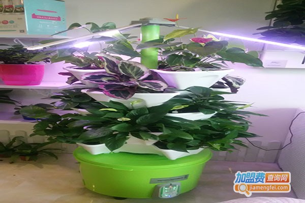 植彩坊家庭智能园艺机加盟门店