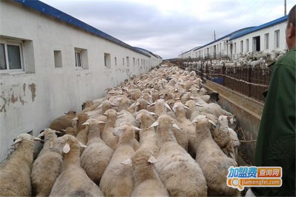 博农养殖加盟费