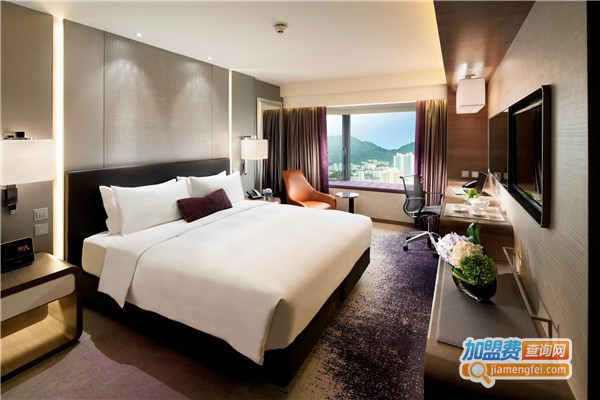 丽莎涂料加盟费