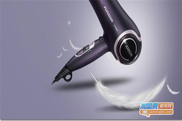 飞科电器加盟费