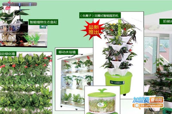 植彩坊家庭智能园艺机加盟门店