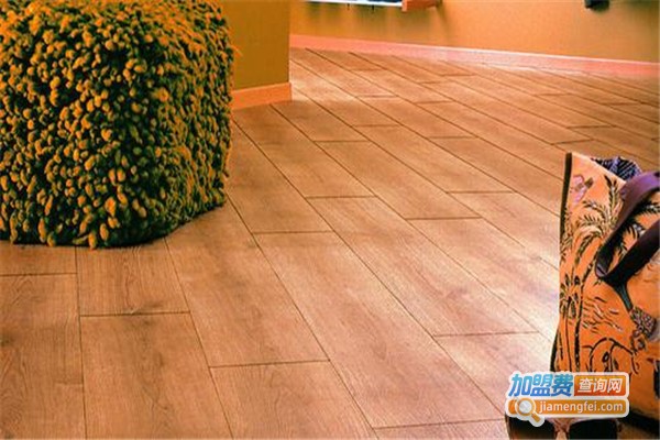 圣菲亚发热地板加盟