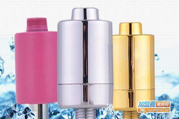 洁丽莎物理清洁器加盟