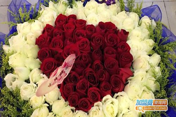 七彩花卉加盟门店