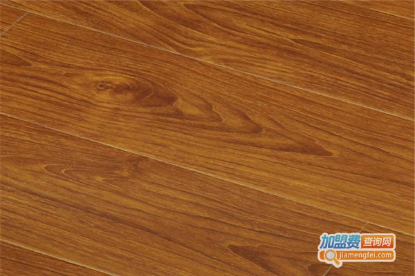 老林格地板加盟费