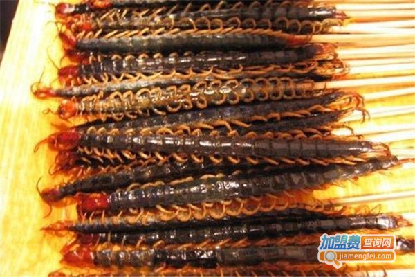 华夏八号蜈蚣加盟费