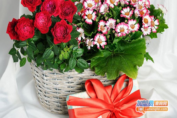 花仙缘花艺加盟门店