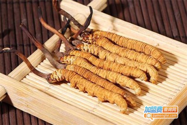 金华虫草加盟门店