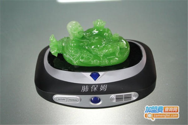 肺保姆艺术空气净化器加盟费