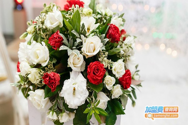 韩丽特加盟门店