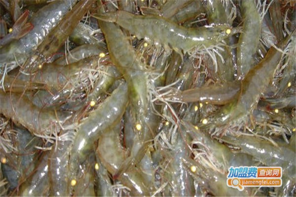 龙辉天下南美白对虾养殖加盟费