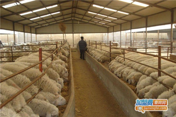 华宝土元加盟费