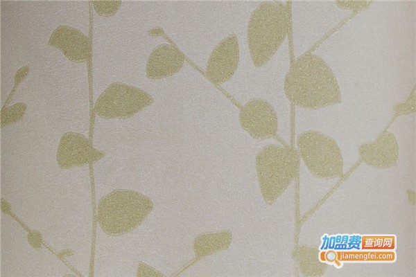 金美瑞冰晶墙艺加盟费