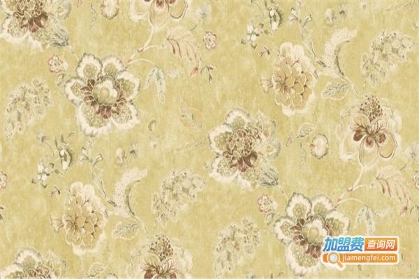 丹云墙衣加盟费