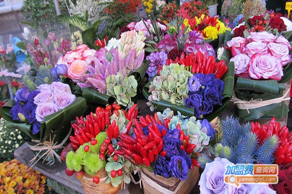 韩丽特加盟门店